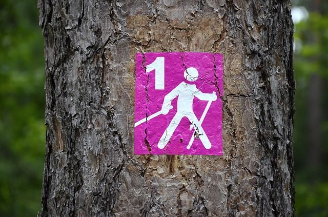stavgång ikon på träd