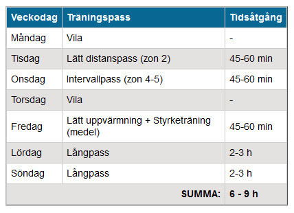 Träningsprogram